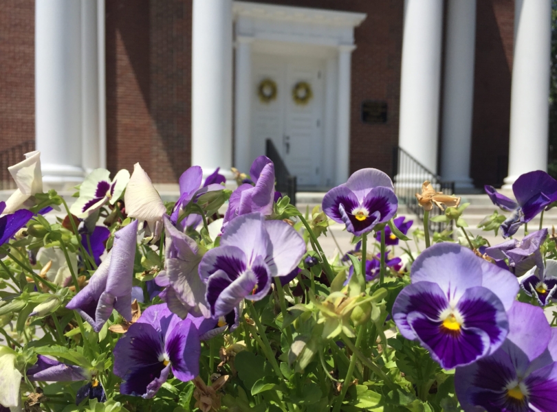 View of church portico with flowers in foreground